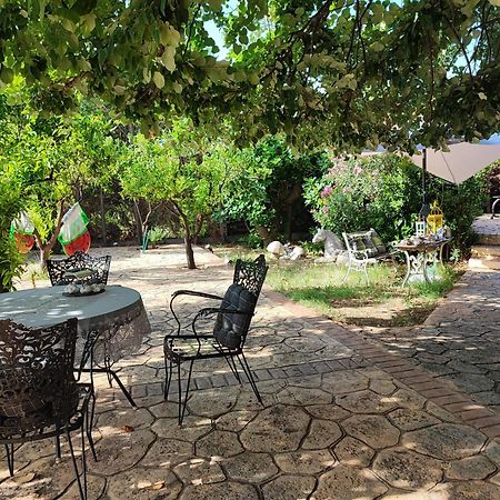 Stone House With Seaview Apartment Неа Потидея Екстериор снимка